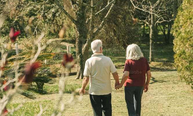 Care centers: "kindergartens" for the elderly