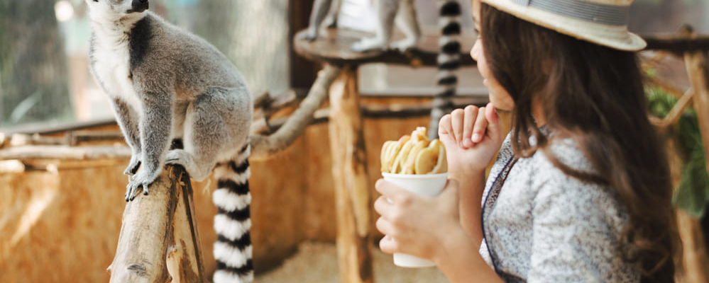 DINO Fest to Take Place at Minsk Zoo on July 25–26