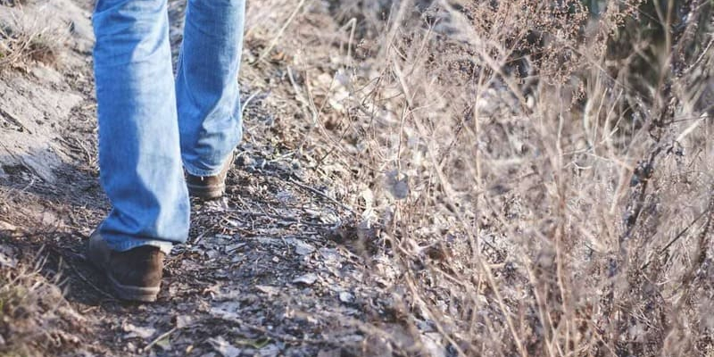 "A step towards longevity" in Minsk