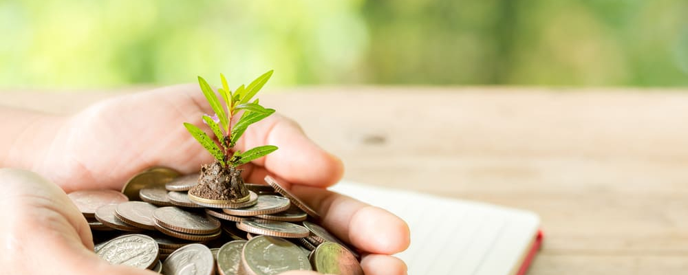 Foreign Investors Put $5 Billion into Belarusian Economy in First Half of 2026