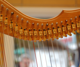 “Zvany Safii” Organ Music Festival in Polotsk