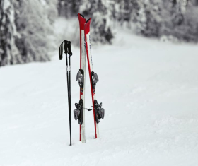 Snow Sniper Youth Biathlon Final Held in Raubichi