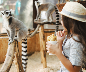 DINO Fest to Take Place at Minsk Zoo on July 25–26